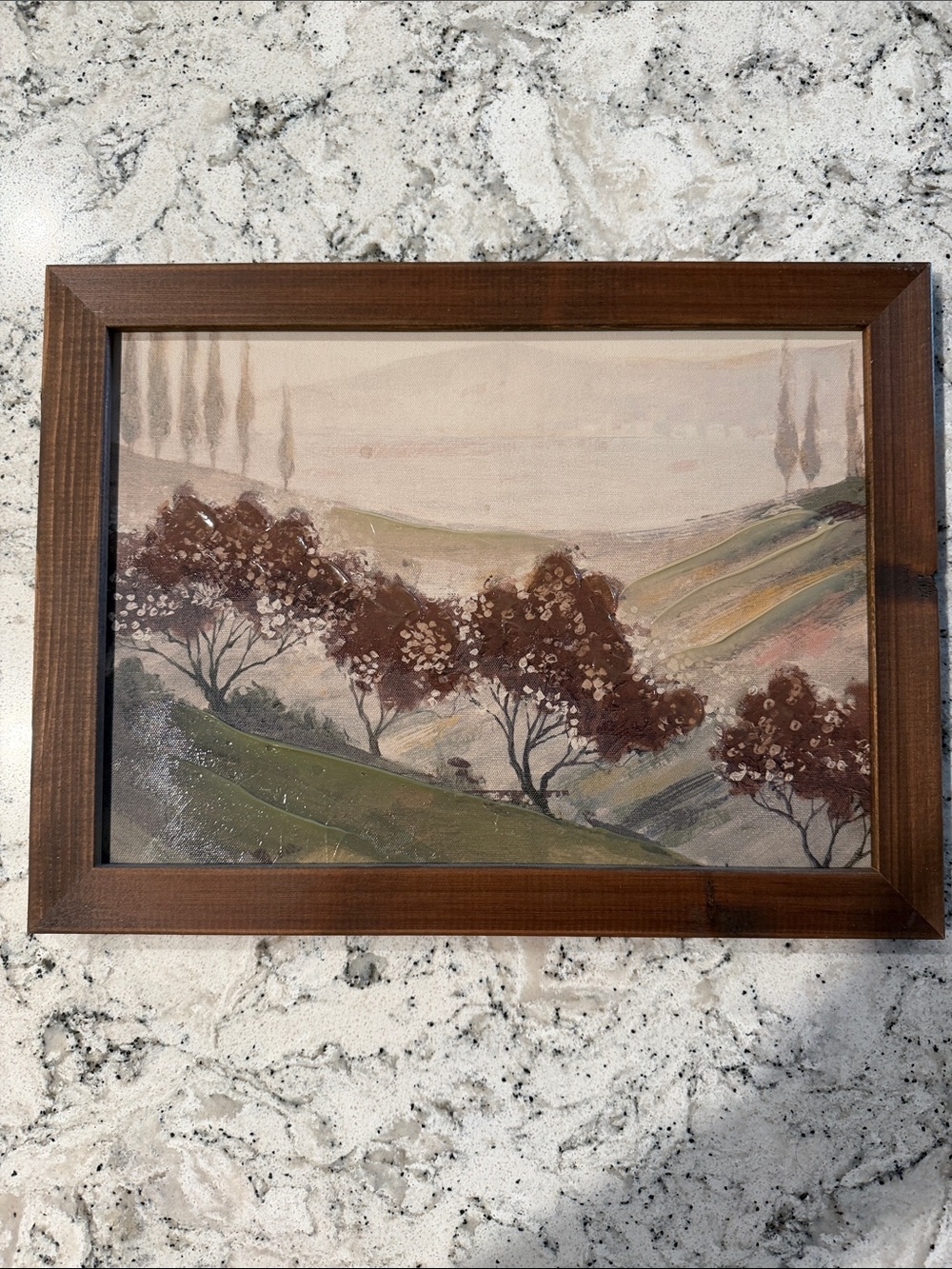Hobby Lobby Framed Landscape Art in Brown and Green